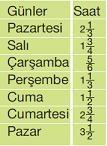 kesir problemleri