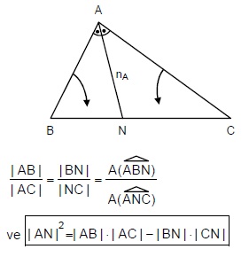 aortay